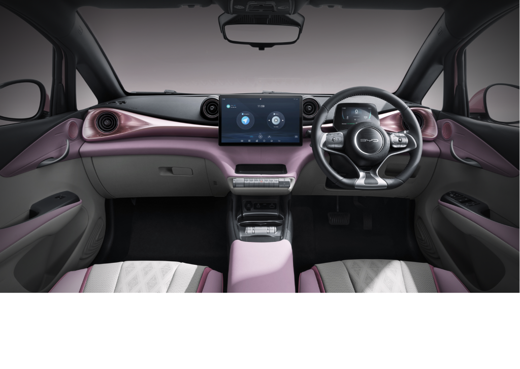 interior byd dolphin