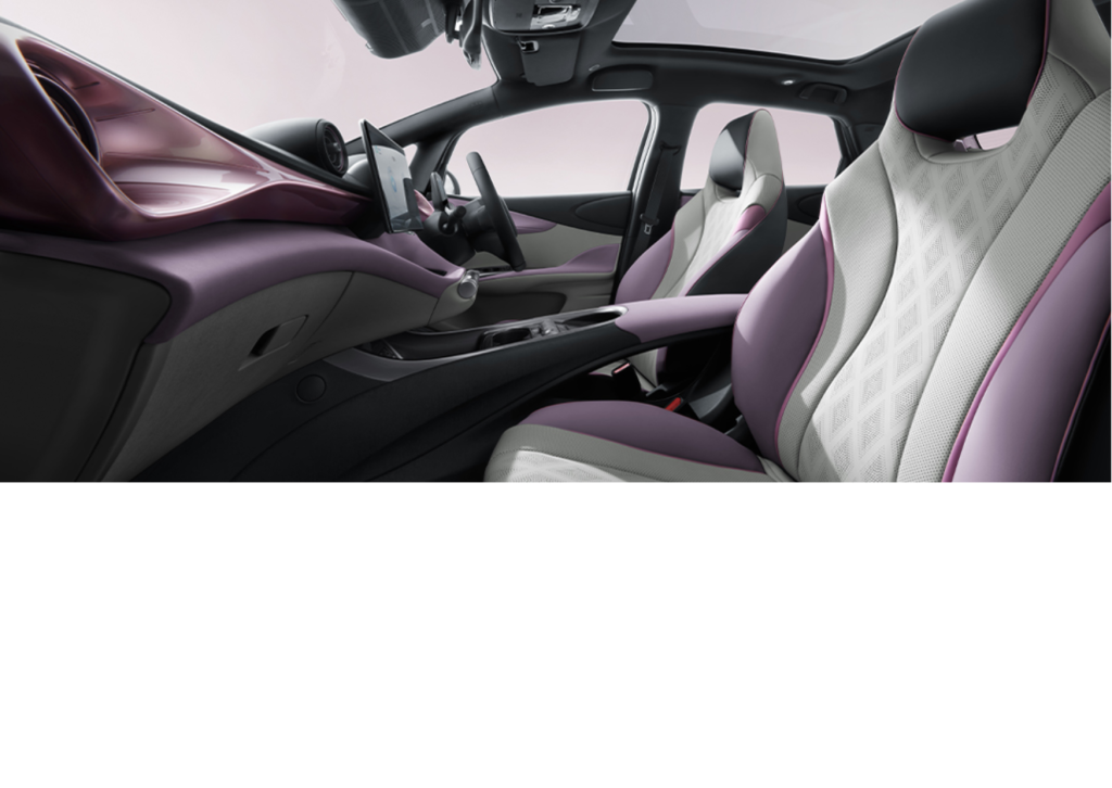 interior byd dolphin