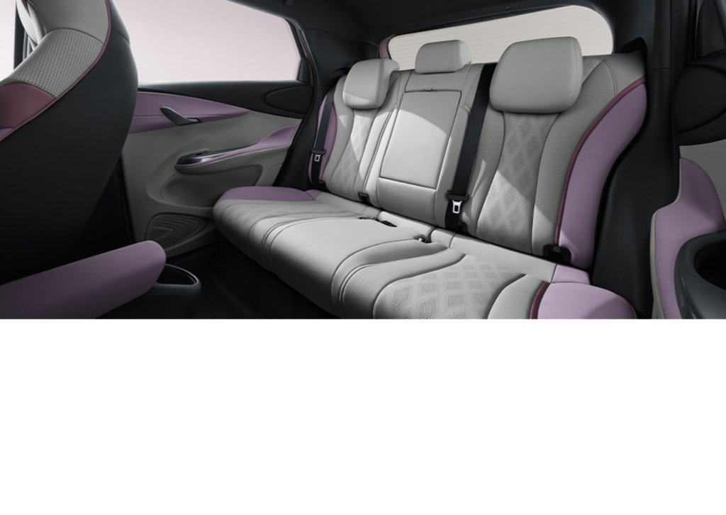 interior byd dolphin