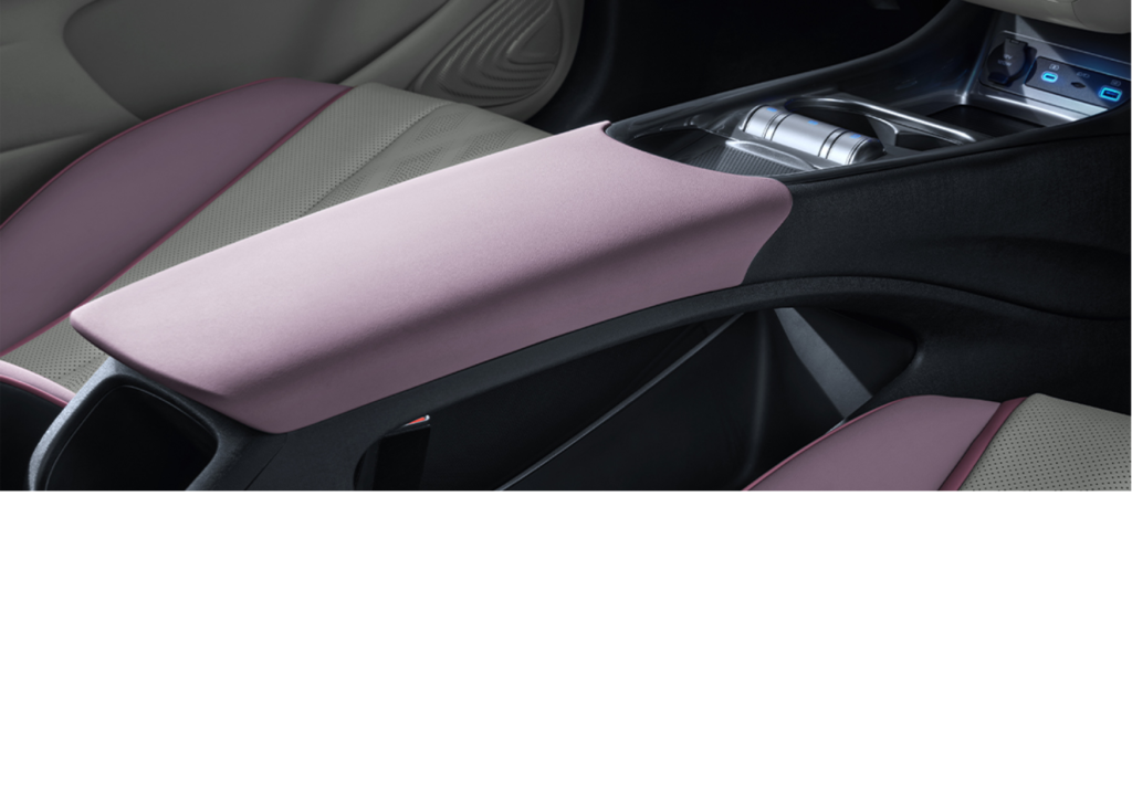 interior byd dolphin