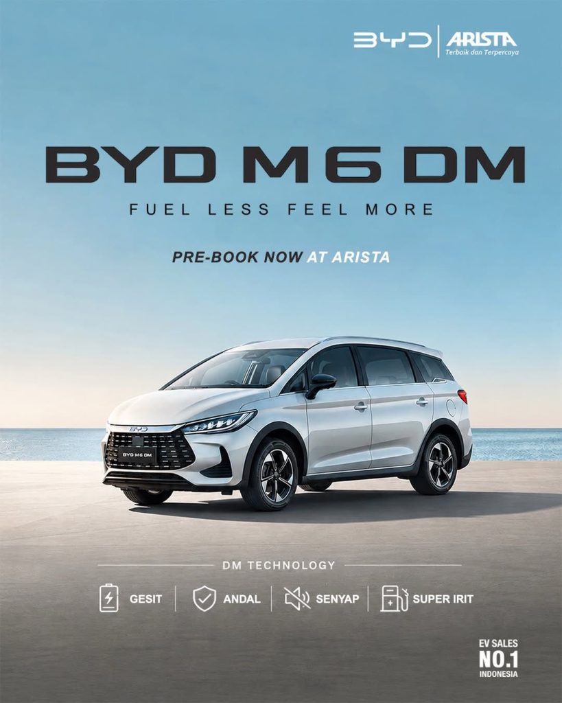 byd m6 dm